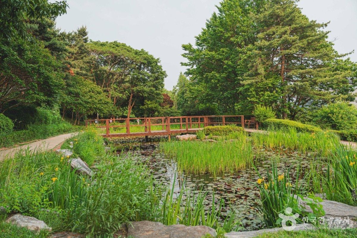 남산 야외식물원 전경