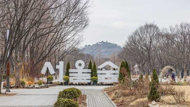 서울 공원 서울숲