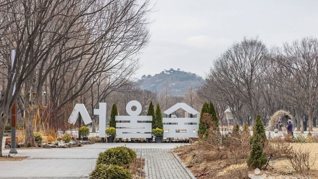 서울 공원 서울숲