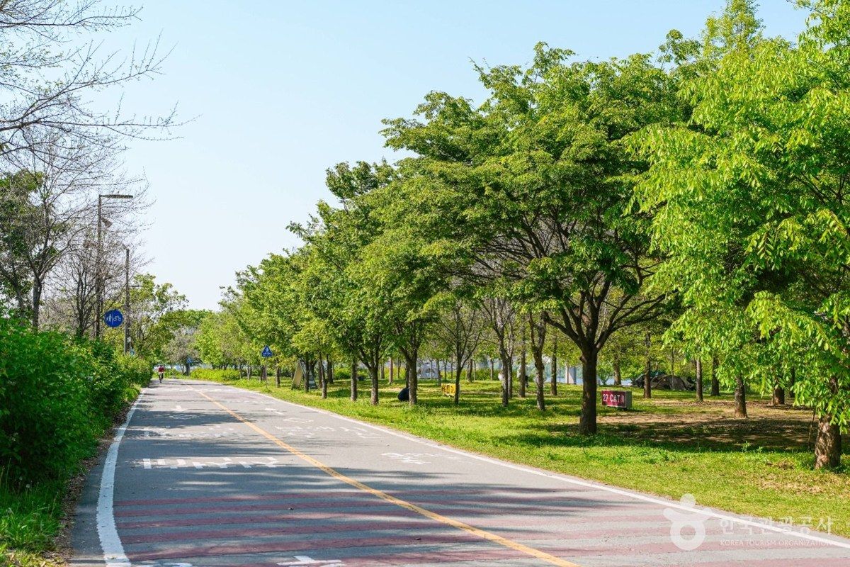 여의도한강공원 전경