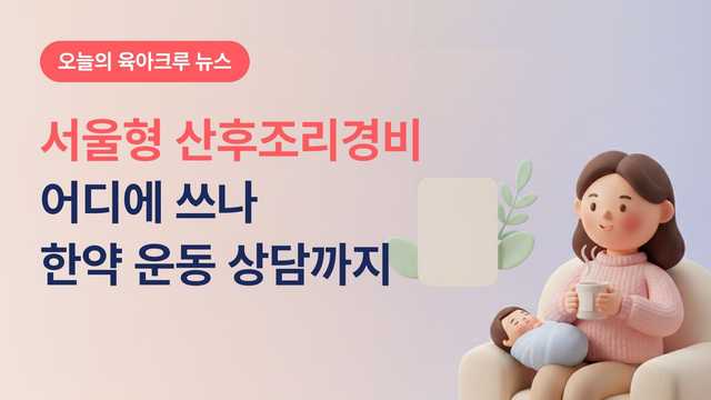 서울형 산후조리경비 어디에 쓰나? 한약 산후운동 심리상담까지 됩니다