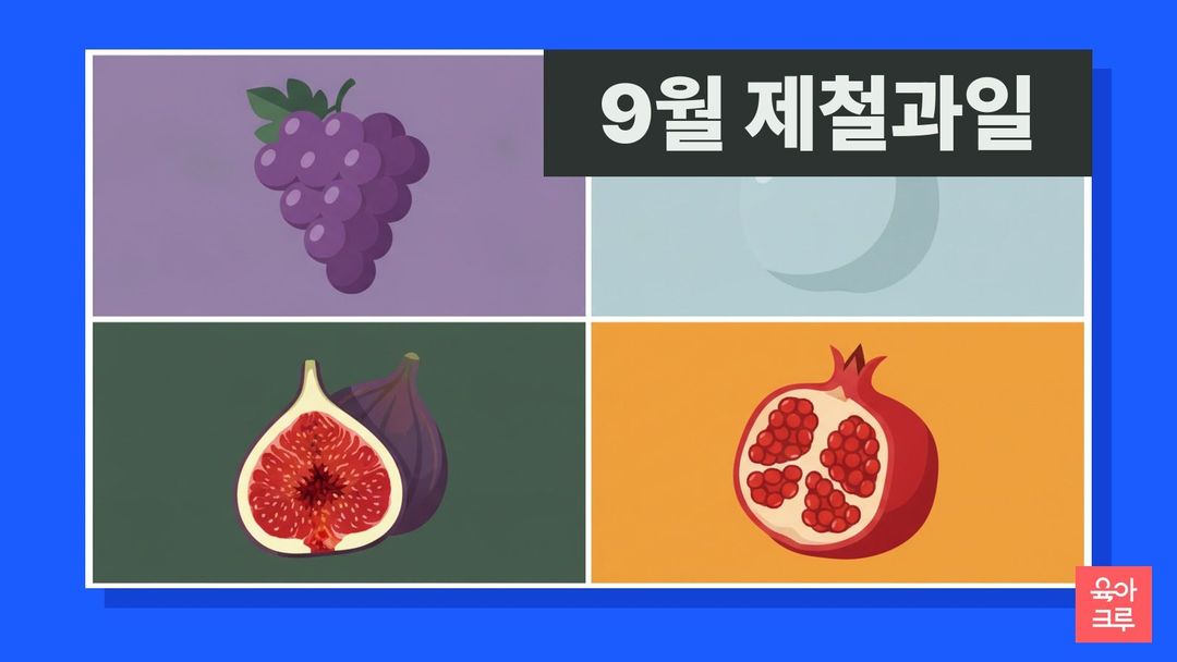 9월 제철과일 일러스트, 포도 송이와 배·무화과·석류