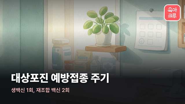 대상포진 예방접종 주기 일러스트, 진료실 책상 위 달력과 백신 상자, 반창고