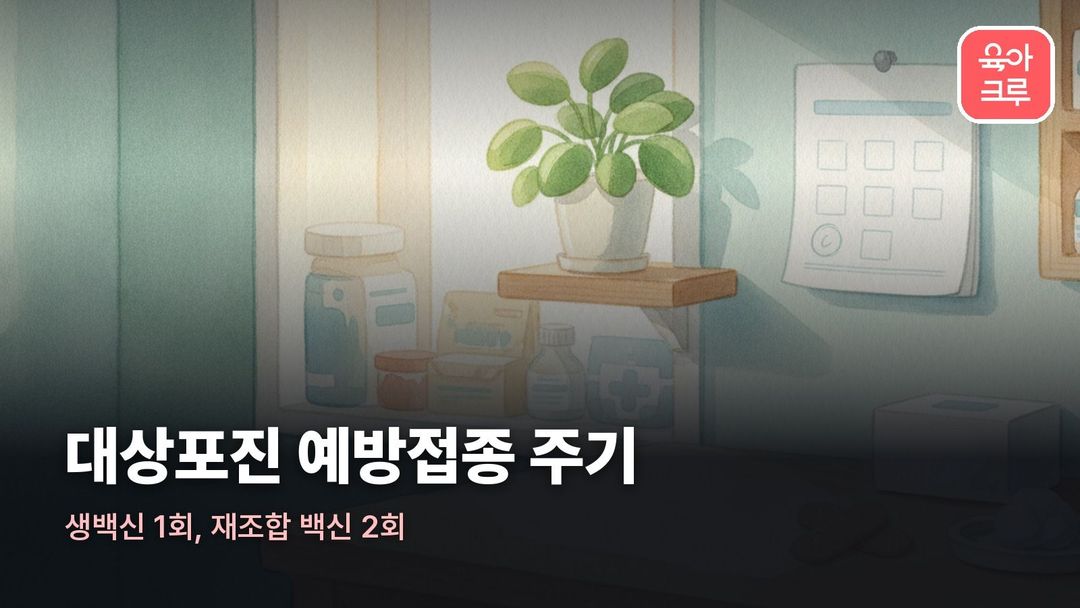 대상포진 예방접종 주기 일러스트, 진료실 책상 위 달력과 백신 상자, 반창고