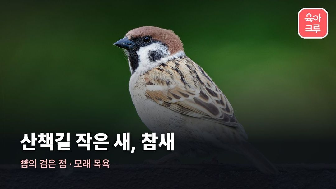 우리 동네 새 이름 커버 사진