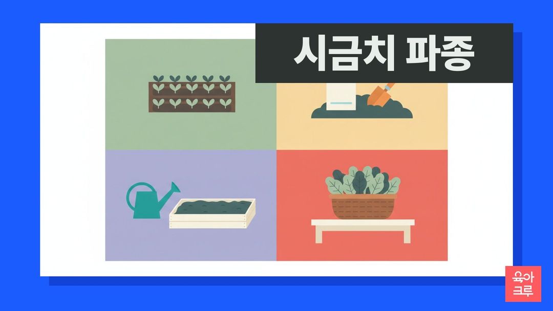 시금치 파종시기 일러스트