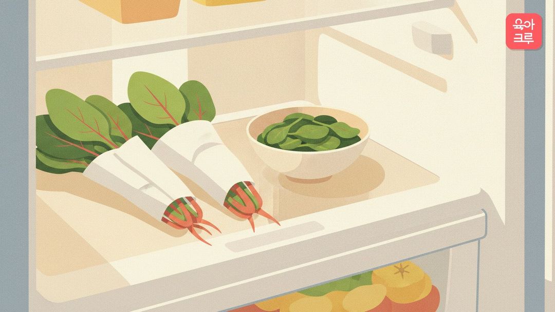 시금치 보관법 크루레터 일러스트 커버