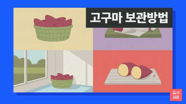 고구마 보관방법 일러스트, 신문지에 싼 고구마와 바구니에 담긴 고구마