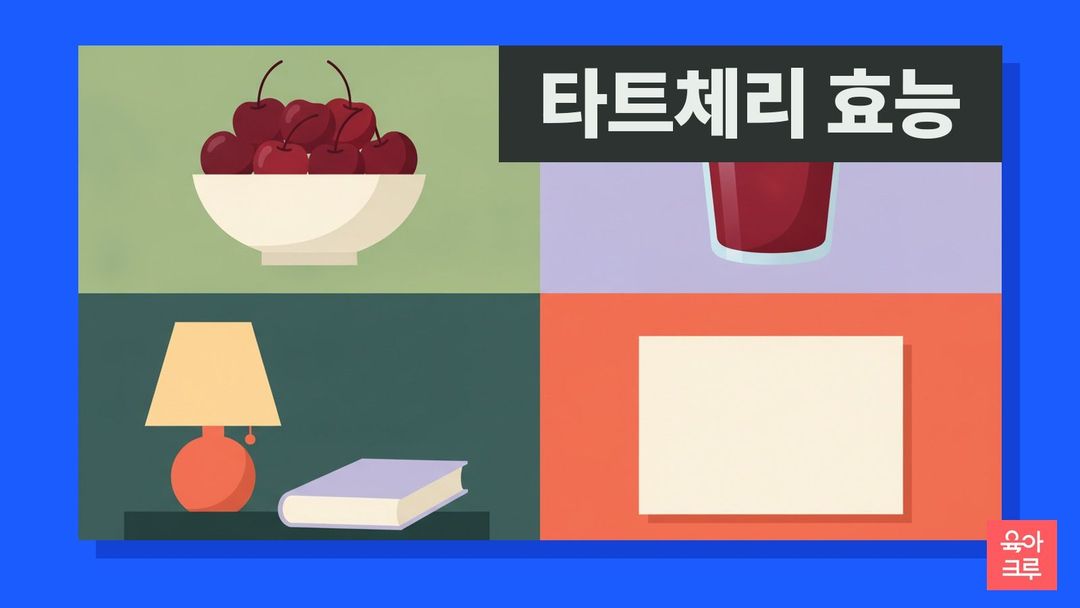 타트체리 효능 안내 그림