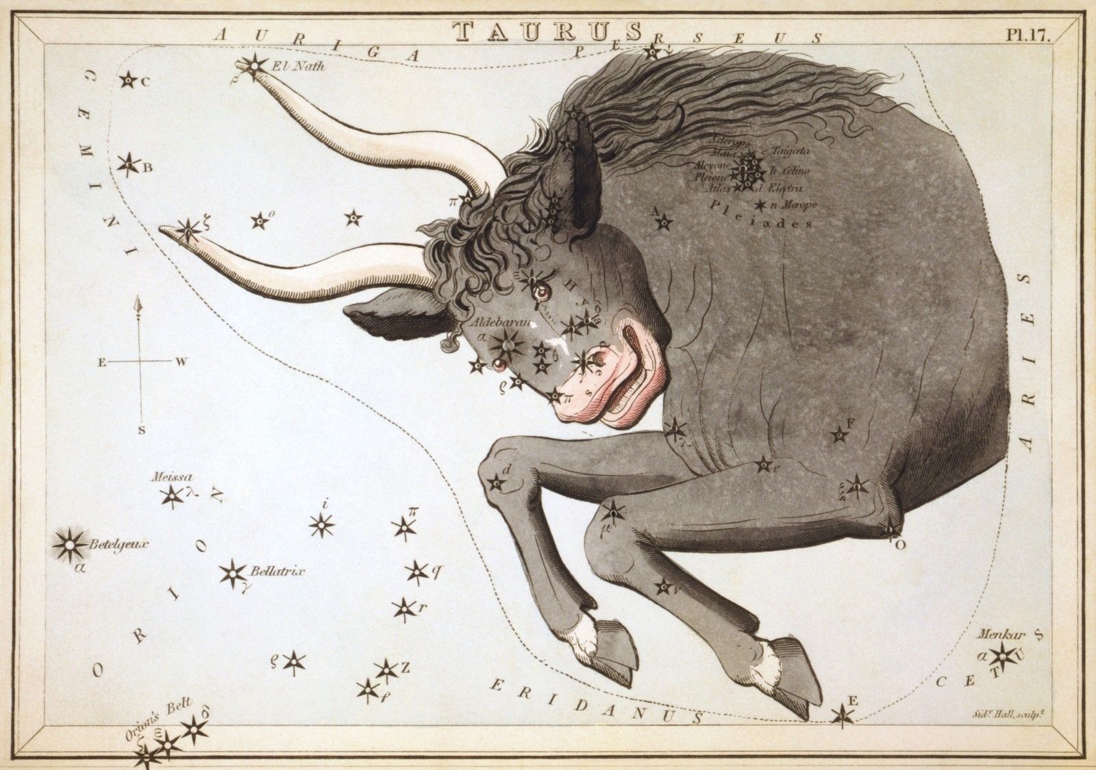 옛 별자리 그림책(1825년)에 그려진 황소자리