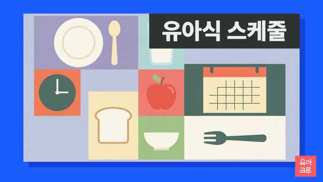유아식 스케줄 — 하루 세 끼와 간식 두 번 구성을 나타낸 그래픽 커버