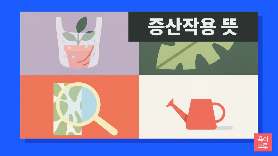 증산작용 뜻 일러스트, 투명 비닐 씌운 화분과 잎, 돋보기