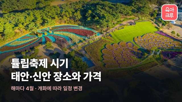 하늘에서 내려다본 바닷가 옆 튤립 정원