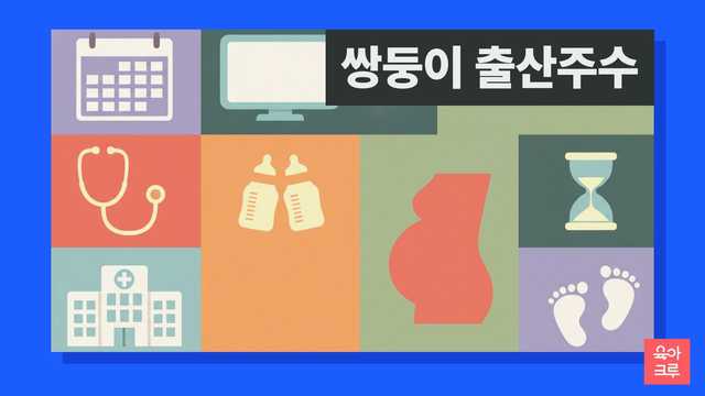 쌍둥이 출산 시기와 융모막성 안내 그리드 일러스트