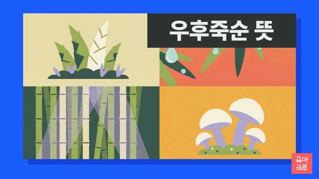 우후죽순 뜻 일러스트