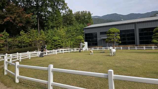 파크프리베 옆 승마장 울타리와 잔디밭