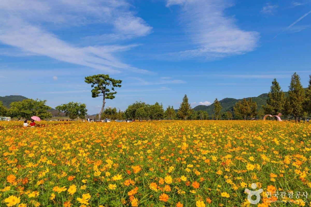 호국의병의숲친수공원 전경