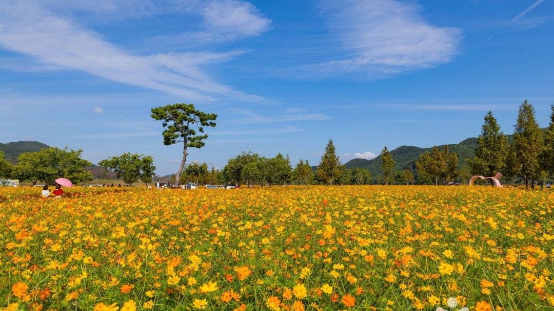 의령 가볼만한곳 호국의병의숲친수공원