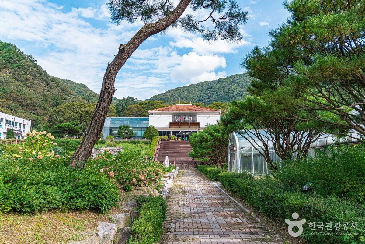 대아수목원 전경