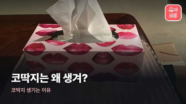 코딱지 생기는 이유
