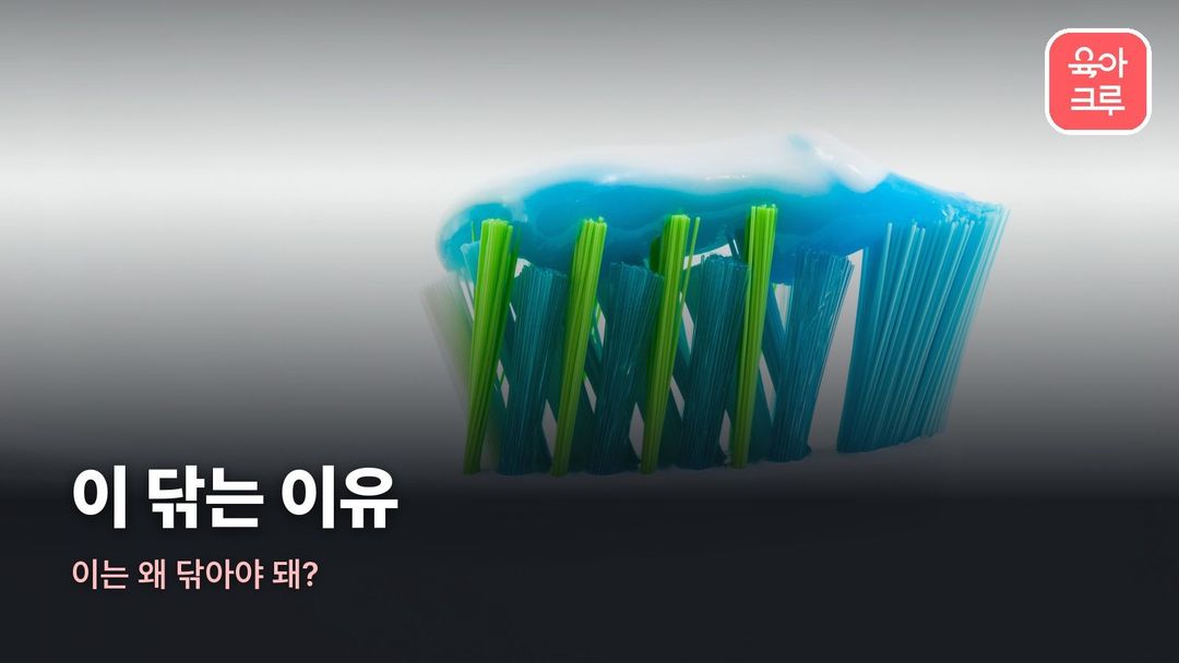 이 닦는 이유 커버 사진