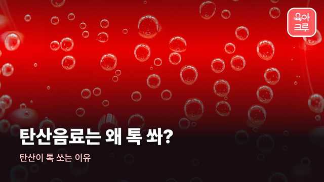 탄산이 톡 쏘는 이유