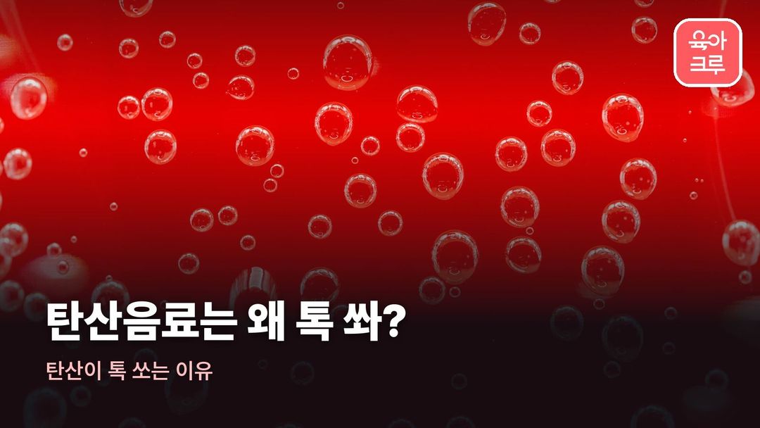 탄산이 톡 쏘는 이유