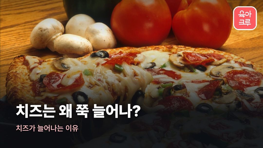 치즈가 늘어나는 이유