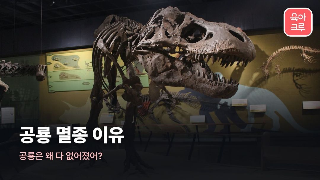 공룡 멸종 이유 커버 사진