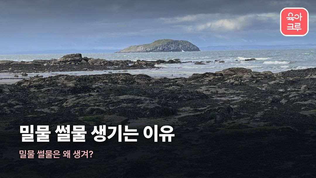 밀물 썰물 생기는 이유 커버 사진