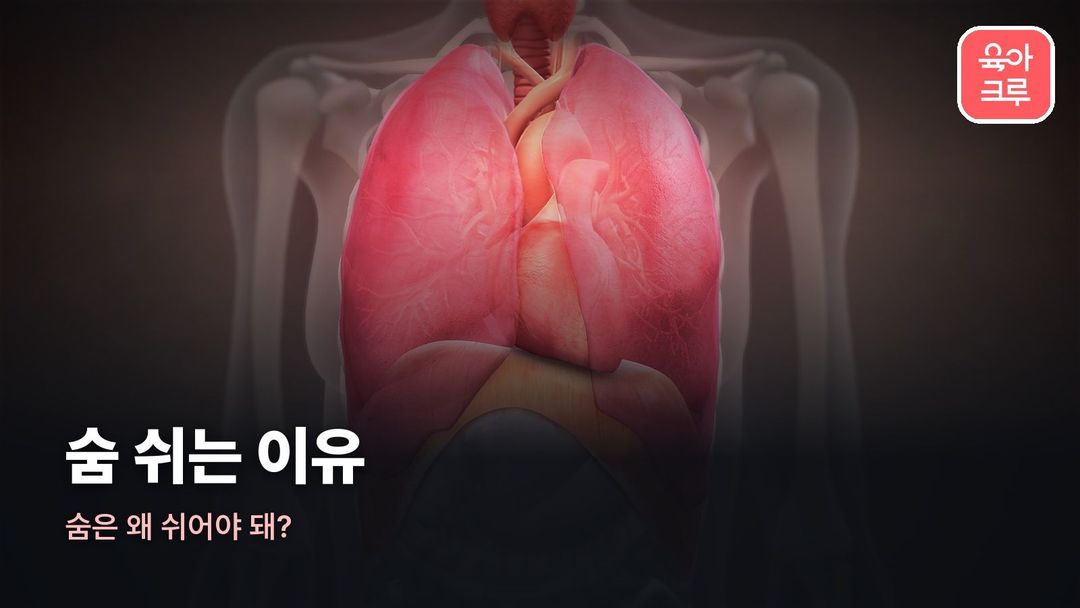 숨 쉬는 이유 커버 사진