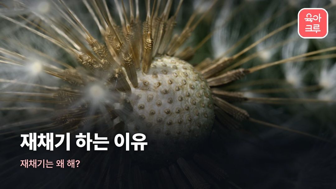 재채기 하는 이유 커버 사진
