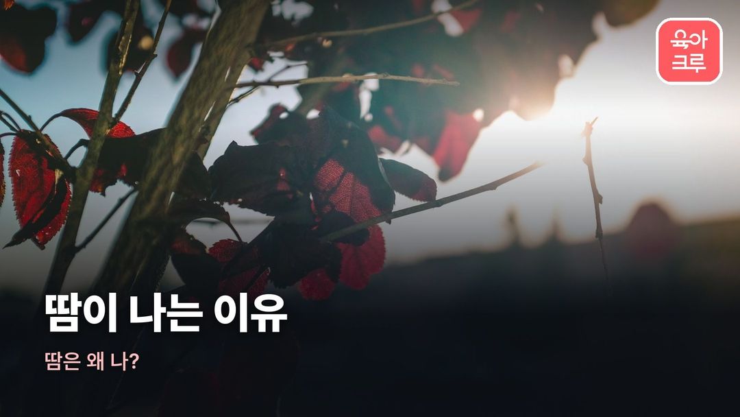 땀이 나는 이유 커버 사진