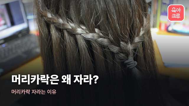 머리카락 자라는 이유