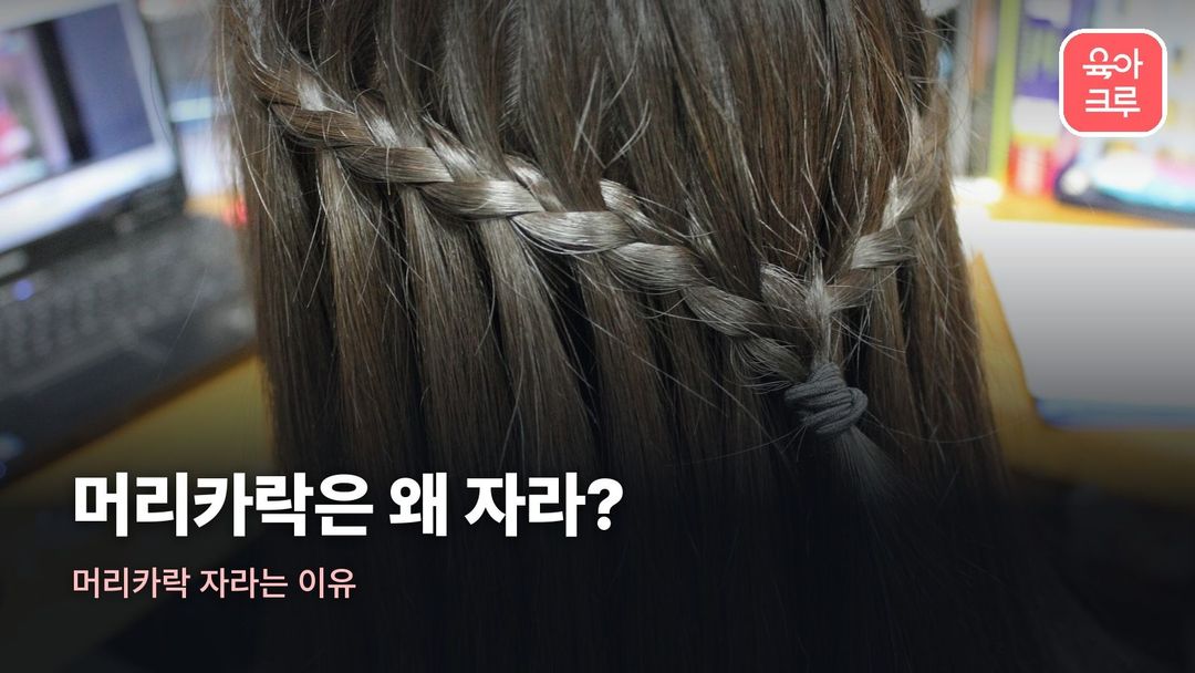 머리카락 자라는 이유