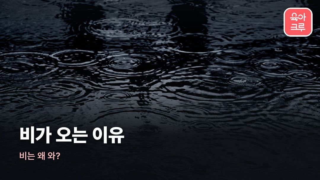 비가 오는 이유 커버 사진