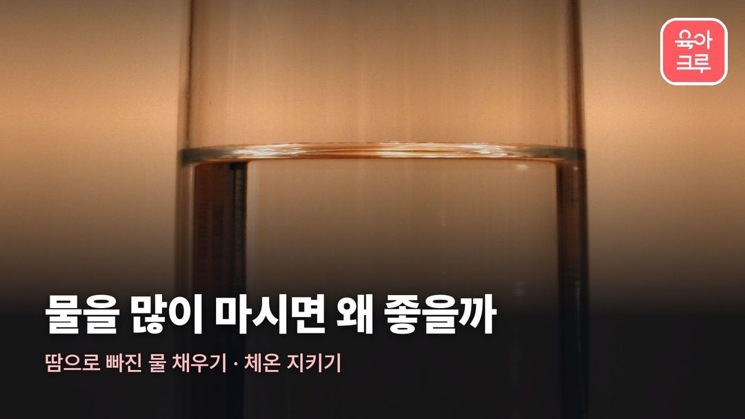 물 마시기 효과 커버 사진