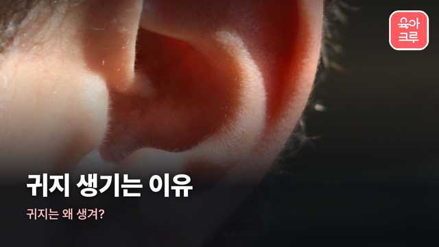 귀지 생기는 이유 커버 사진