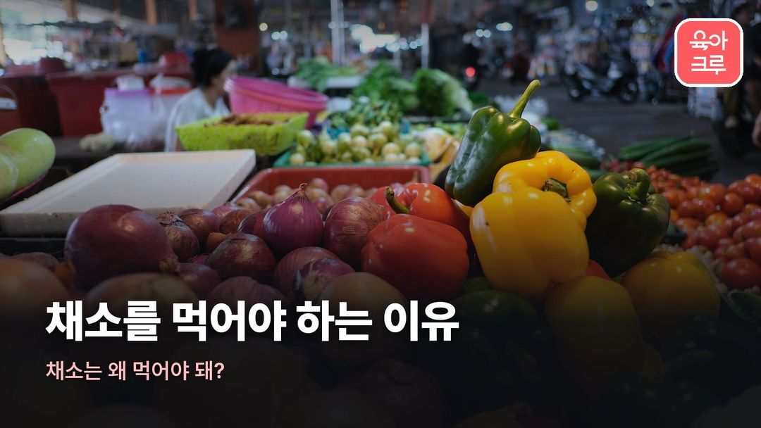 채소를 먹어야 하는 이유 커버 사진