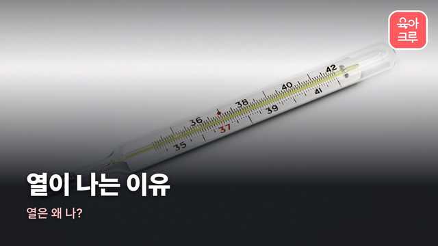 열이 나는 이유 커버 사진