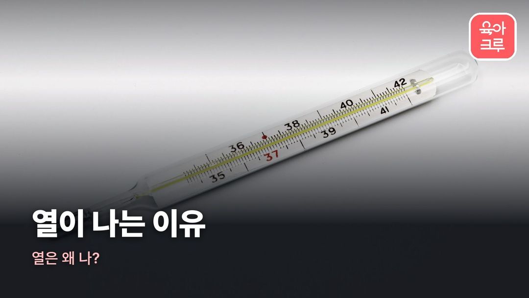 열이 나는 이유 커버 사진