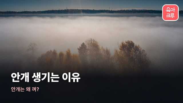 안개 생기는 이유 커버 사진