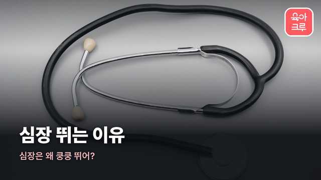 심장 뛰는 이유 커버 사진