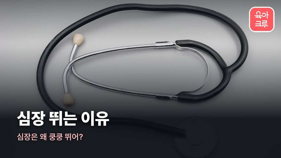심장 뛰는 이유 커버 사진