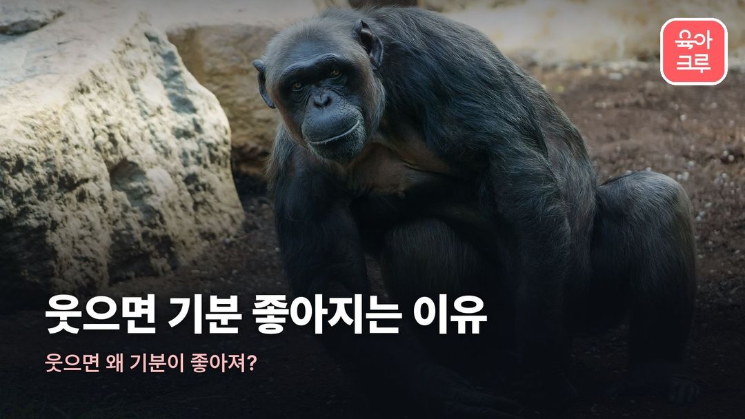 웃으면 기분 좋아지는 이유 커버 사진