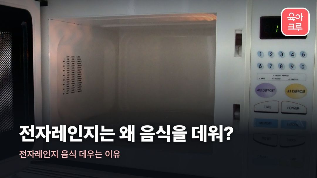 전자레인지 음식 데우는 이유