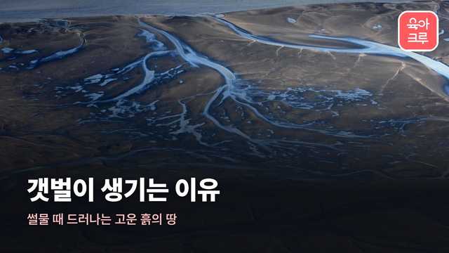 갯벌이 생기는 이유 커버 사진