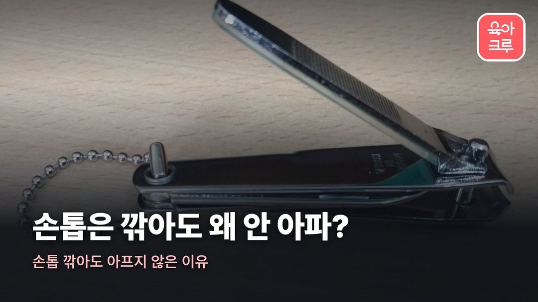 손톱 깎아도 아프지 않은 이유
