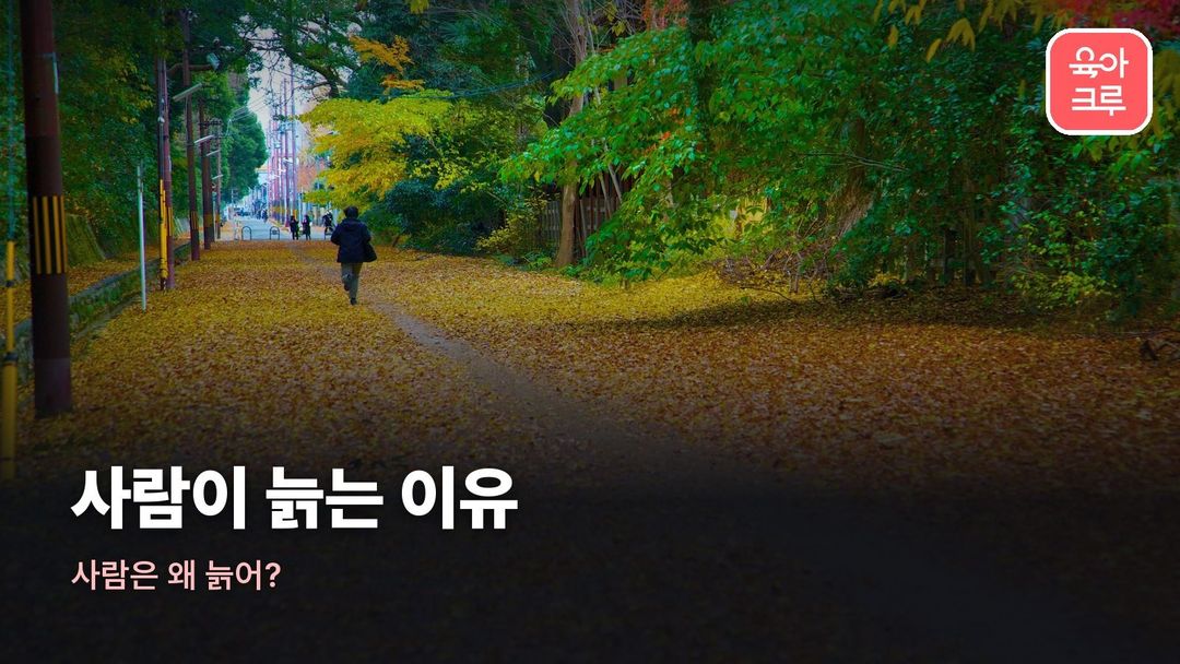 사람이 늙는 이유 커버 사진