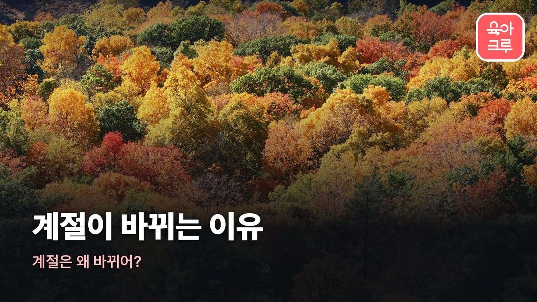 계절이 바뀌는 이유 커버 사진
